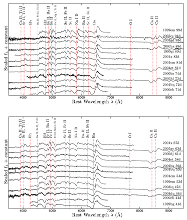 Same as Fig. 13, for 40–100 d past explosion. Absorption and emission lines are clearly stronger towards mid-plateau phases. As a SN approaches the nebular phase and temperatures drop, one can see reduced absorption and an enhancement of line emission.
