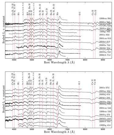 Same as Fig. 13, for 40–100 d past explosion. Absorption and emission lines are clearly stronger towards mid-plateau phases. As a SN approaches the nebular phase and temperatures drop, one can see reduced absorption and an enhancement of line emission.