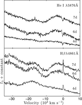 Early-time HV features associated with Hβ and He i λ5876 in SN 1999gi. The HV components are observed at high velocities of ∼−20 000 km s−1, with a P-Cygni profile.