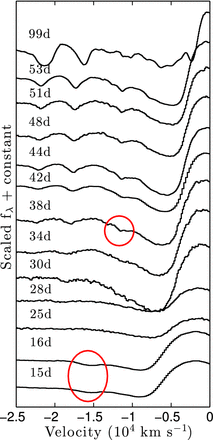 The evolution of the HV feature in the Hα blue wing of SN 1999em. An HV component is evident in the first two lower spectra at a velocity of ∼−15 000 km s−1, and it disappears on day 25. It suddenly reappears in the spectrum of day 38 and remains visible until the end of the plateau phase.