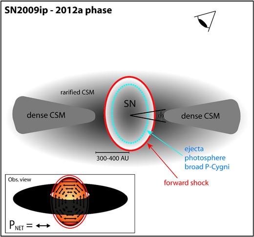 Illustration of a potential SN/CSM configuration during the 2012a event (not to scale), before the onset of intense CSM interaction. The presence of broad P-Cygni lines implies a rapidly expanding photosphere. The detection of significant continuum polarization at this phase suggests an aspherical geometry for the SN photosphere and/or partial absorption by toroidal CSM (inset). The approximate orthogonality of the polarization position angle with respect to the 2012b CSM interaction phase suggests that the SN photosphere might have a bipolar geometry. The angle ϕ represents the angle subtended by the CSM from the point of view of the explosion.