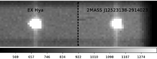 Typical image frame with EX Hya (left object) and a comparison star (right object) collected over 0.1 s. The grey-scale shows the number of counts per pixel.