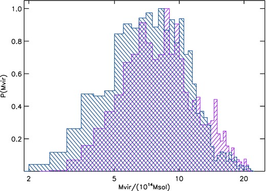 The probability density function of the Coma virial mass, derived through the sheet technique. The distribution coming from the sheet 2 is the blue one, slightly to the left. The violet slightly narrower distribution corresponds to the sheet 1. The best mass estimate based on these measurement is Mvir = (9.2 ± 2.4) × 1014 M⊙.