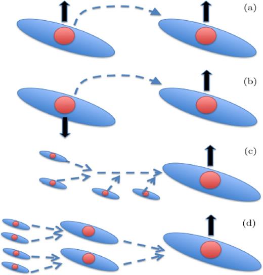 A schematic of the varying orbital orientations and initial conditions of the merger simulations. In all cases, the orbital angular momentum is oriented such that it points upwards. Shown are (a) a prograde–prograde binary merger with the spin of both galaxies aligned, (b) a prograde–retrograde binary merger, (c) a series of sequential mergers, and (d) a binary merger tree simulation with each generation of galaxies equal in mass.