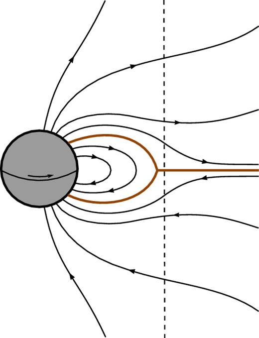 Diagram illustrating the poloidal structure of the standard aligned pulsar magnetosphere. A current sheet (thick brown line) separates poloidal field lines (black) into three zones, one closed and two open. The closed zone terminates at, or just within, the light cylinder (dashed line, shown artificially close to the star).