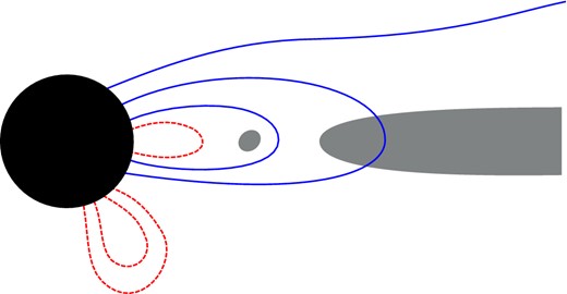 Allowed (blue solid) and disallowed (red dashed) topologies of poloidal field lines in a force-free black hole magnetosphere. Open lines are allowed. Closed lines must pass through, or loop around, a non-force-free region (grey).