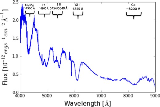 An overview of the features of SN 2014J. This spectrum has been dereddened and was taken at B-band maximum.