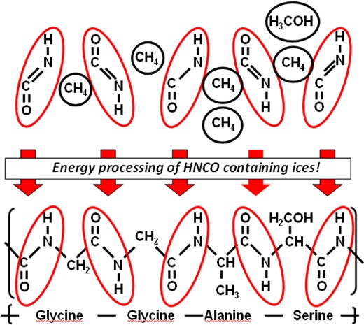A schematic that illustrates the potential importance of HNCO as a simple bearer of peptide bonds for the production of amino acids in interstellar ices.