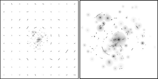 Data set used for the reconstruction. The left-hand panel shows the entire field of view of 10 arcmin with the SL, reduced shear measurements, the position of the fiducial galaxies and their assumed shapes. The right-hand panel shows a zoom into the central 3.33 arcmin region with the arcs and galaxies that shows better extent of the haloes in our model.