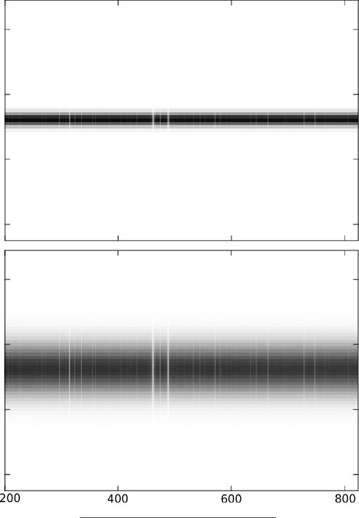 Top: spectra in focus with a slit-width of 2.48 arcsec. Bottom: spectra defocused to 2.48 arcsec. Both simulations include the effects of variable seeing conditions, slit-jaw imperfections, flat-fielding errors and telescope tracking errors. The two bright lines in the centre of each image correspond to the Na doublet. The x-axis displays the pixels on the detector, and we have assumed a dispersion of 0.22 Å per pixel for the simulations.