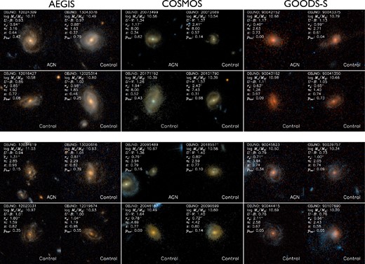 HST/ACS images of two matched sets of AGN control galaxies for AEGIS (left), COSMOS (middle), and GOODS-S (right). Each AGN (upper-left image of each block) has three matched, non-AGN control galaxies. Galaxies with pbar > 0.5 are considered barred. Galaxies within each AGN control set are similar in appearance, demonstrating the quality of our matching technique. Images are from Griffith et al. (2012).