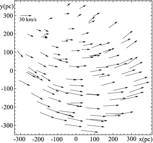 Spatial distribution and velocity field, at the end of the final phase (phase C), for the stars born in the cloud.