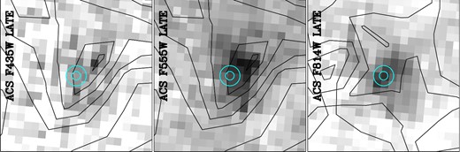 Detailed comparison of the site of SN 2008cn in the late-time (grey-scale) and pre-explosion (contours) images. In the middle and right-hand panels, the pre-explosion and late-time F555W and F814W observations are paired together, and in the left-hand panel, the late-time F435W image is overlaid with contours corresponding to the pre-explosion F555W image. The pre-explosion image contours were calculated at 10 count intervals using an linear interpolation scheme. Each panel has dimensions 0.5 arcsec × 0.5 arcsec and is centred on the transformed SN position, with the corresponding circles indicating the positional uncertainties on the SN position in the late-time (small circle) and pre-explosion (large circle) observations.