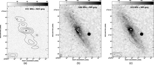 Images of UGC 2936: the cross marks the optical centre of the galaxy and the triangle in the north-east marks the position of the supernova, SN 1991bd. (a) The contours showing the 610 MHz emission are plotted at 0.3 × (−8,−4,4,8,16,32,64,66) mJy beam−1. The angular resolution is 15 arcsec × 5 arcsec, PA = 89 $_{.}^{\circ}$48. The NUV grey-scale is counts s−1. (b) The contour levels of the 1280 MHz emission are 76 × (−8,−4,4,8,16,32,64,75) μJy beam−1 for a beamsize of 3 arcsec × 2 arcsec, PA = 41 $_{.}^{\circ}$44. The NIR grey-scale are data-number. (c) Contour levels are similar to (a).