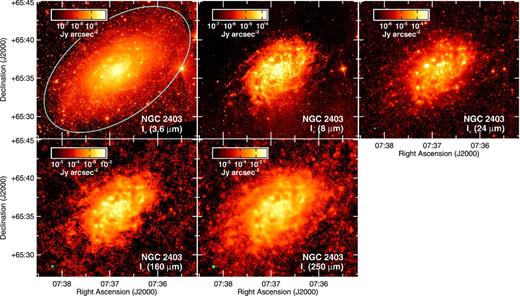 The 21 arcmin × 18 arcmin images of NGC 2403 used in the analysis. North is up and east is to the left in each image. The 3.6 μm maps trace the intermediate-age and older stars. The 8 μm image mainly shows the PAH 7.7 μm emission feature but may also contain small amounts of emission from hot dust and stellar sources. The 24 μm band traces emission from hot (100 K) dust, and the 160 and 250 μm trace emission from colder (15–30 K) dust. The FWHM for each image is shown as a green circle in the lower-left corner of each panel, and the light blue ellipse in the 3.6 μm image outlines the optical disc of the galaxy.