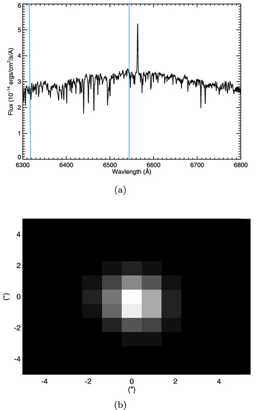 (a) Example spectrum for object 1RXS J153910.3-264633, a high priority target in our observation sample, which shows signs of youth such as Hα emission and Li 6708 Å absorption. The region of the continuum used for the initial PSF fitting is bounded by blue lines. (b) Spatial image created for 1RXS J153910.3-264633 by adding the images at each wavelength of the PSF fitting region of the continuum.