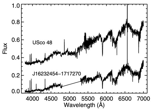 The full WiFeS-integrated spectrum produced by first processing with the wifes pypeline, and then our spectroastrometric analysis for the stars USco 48, a known member of the Upper Scorpius subgroup, and 2MASS J16232454-1717270, high-probability candidate, and a new member in identified in our survey. The USco 48 spectrum is an example of the data from the 4800-Å dichroic setup, and the 2MASS J16232454-1717270 spectrum an example of the 5600-Å dichroic setup.