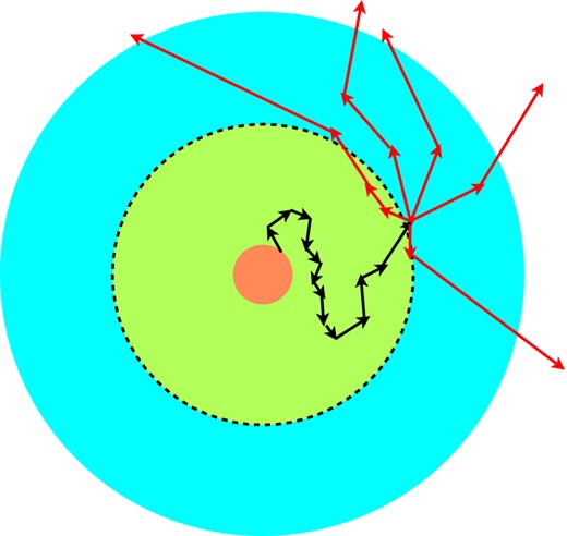 A cartoon illustrating the packet splitting method. A high-energy packet is released from the protostar and undergoes many absorption and scattering events (black arrows). Eventually the packet passes beyond the region identified as being optically thick (dashed line) and at this point the packet is split into Nlow low-energy packets (red arrows) which eventually emerge from the computational domain (here Nlow = 5).