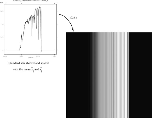 Step 3 of data reduction procedure. In this step, the mean values of the ‘shift’ and ‘scale’ parameters ($\bar{x}_i$ and $\bar{s}_i$) are calculated for a single science frame. These values are then used to shift and scale the calibrator star spectrum (left image). The resulting spectrum is then stacked 1024 times along the slit axis as shown in the right image. We call this image the ‘stacked standard star’ frame.