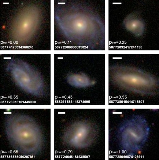 Examples of the SDSS images used in GZ2, sorted by increasing pbar (the weighted percentage of users that detected a bar in each image). All galaxies are from our final analysis sample of ‘not edge-on’ disc galaxies. The white line in the upper left of each image represents a physical scale of 5 kpc. We also give pbar and the SDSS object IDs for each galaxy. Top row: galaxies with pbar < 0.3, which in this paper are designated as unbarred. Middle and bottom rows: galaxies with pbar ≥ 0.3, which we designate as reliably barred.