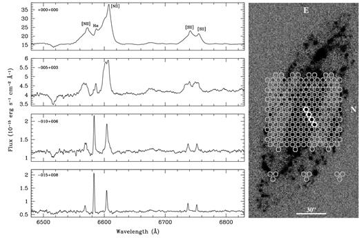 Example spectra extracted from four different fibers from the SparsePak IFU. The positions of the SparsePak fibre apertures on NGC 5005 are displayed on the narrowband Hα image from HDI on the right. The fibers from which the four spectra were extracted are highlighted in white. The image has been rotated such that north is to the right and east is up. The numbers in the top left corner of each spectrum panel indicate the fibre's position offset from the central fibre in arcseconds.