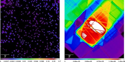 Left: simulated map of the combined Chandra PSF within the mosaic image of the Perseus Cluster. The random positions of individual PSFs are used (see Section 2 for details). Right: the combined exposure map in seconds (lightly smoothed with a 3 arcsec Gaussian for display purposes).