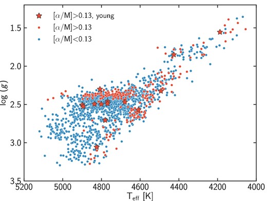 Surface gravity as a function of Teff for the APOKASC sample, showing the location of α-poor stars (blue dots), α-rich stars (red dots) and α-rich young stars (red stars). The young α-rich stars lie at higher log(g) on the red clump compared to other α-rich stars, consistently with predictions from theoretical isochrones (see Fig. 11).