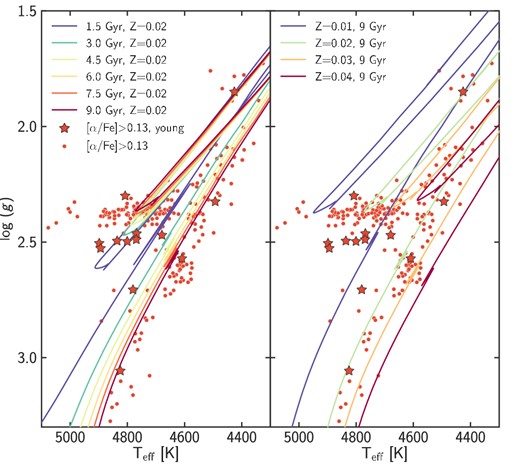 Comparison of the location of the α-rich stars in an H–R diagram with theoretical isochrones. We show BaSTI non-canonical α-enhanced isochrones for η = 0.2, in the left-hand panel for Z = 0.02 and ages 1.5, 3, 4.5, 6, 7.5 and 9 Gyr (from blue to red colour), and in the right-hand panel for Z = 0.01, 0.02, 0.03 and 0.04, and an age of 9 Gyr (from blue to red colour). These isochrones demonstrate that in the red clump younger stars should have a higher log(g), which is consistent with our findings. The particular set of isochrones shown on the left panel do not match the location of most α-rich stars on the RGB: these stars are better matched with isochrones for a slightly higher metallicity (right-hand panel).