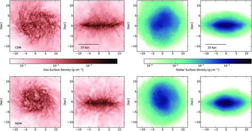 The projected colour density map of the baryon distribution in galaxy h516. Top: CDM. Bottom: SIDM. Left-hand panels: projected gas density at z = 0 seen edge-on and face-on. Right-hand panels: stellar projected density at z = 0. The stellar discs are relatively thicker than those in earlier simulations (Governato et al. 2010), an effect of the introduction of ‘early feedback’ from young stars. We verified that in both models the stellar distribution is exponential, with a similar disc scalelength and lack of a central dense spheroid.
