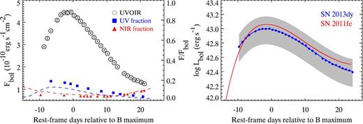 Left: the UVOIR bolometric flux of SN 2013dy (open circles). The UV flux fractions determined by HST UV spectroscopy are represented by blue filled squares. The NIR flux fractions determined by RATIR NIR spectroscopy are represented by red filled triangles. The blue and red dashed lines represent the UV and NIR flux fractions of SN 2011fe (Pereira et al. 2013), respectively. Right: the same as the left-hand panel, but using bolometric luminosity instead. The UVOIR bolometric luminosity of SN 2013dy is shown as blue filled circles. Here the luminosity distance determined using the Tully–Fisher relation (13.7 ± 3.0 Mpc; Tully et al. 2009) is adopted. The blue curve represents the B-spline fit to the data. The grey area shows the 1σ range of the bolometric luminosities considering the uncertainties from the distance. The bolometric luminosity of SN 2011fe from Pereira et al. (2013) is overplotted (red curve).