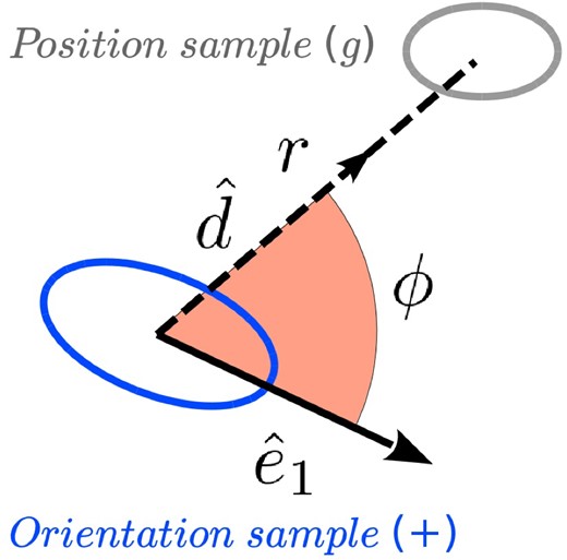 Diagram of the angle ϕ between the major eigenvector $\hat{e}_1$ of a subhalo in the orientation sample (+), and the separation vector $\hat{d}$ pointing towards the direction of a subhalo in the position sample (g). Note that all quantities are defined in 3D space.