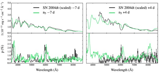 Flux and polarization spectra predicted for an observer orientation $\boldsymbol {n}_5=({}^{1}/{\scriptsize 2},{}^{1}/{\scriptsize 2},{}^{1}/{\scriptsize\sqrt{2}})$. Spectra at −7 (left-hand panels) and +4 d (right-hand panels) relative to B-band maximum are shown with green lines. For comparison, black lines show observed spectra of SN 2004dt at the same epochs after correction for the interstellar polarization component (∼0.28 per cent; Leonard et al. 2005; Wang et al. 2006). Synthetic flux spectra are given for a distance of 1 Mpc, while flux spectra of SN 2004dt have been arbitrarily scaled for illustrative purposes.