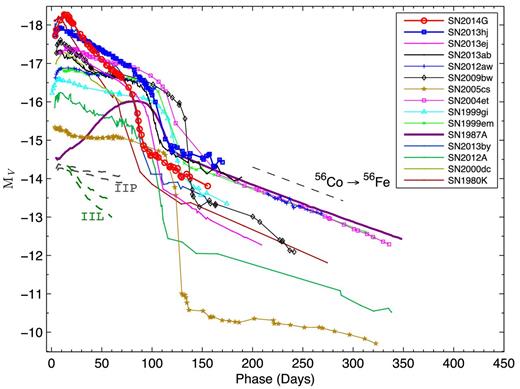 Absolute V-band light curves of SNe 2013hj and 2014G are compared with other SNe II. The exponential decline of the tail light curve following the radioactive decay of 56Co → 56Fe is shown with a dashed line. On the bottom left side, two pairs of dotted lines in grey and green represent the slope range for Type IIP and IIL SNe templates as presented by Faran et al. (2014). The adopted JD, distance, E(B − V) and reference for the V-band magnitude are listed in Table 3.