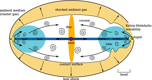 Schematic representation of the hydrodynamics of a disc galaxy with AGN jets. The beam (blue) emerges from the core containing the AGN. The jet plasma passes through regions of rarefraction (R) and compression (C) at internal shocks until it strongly decelerates at the terminal shock (T). The shocked plasma streams out of the hotspot high-pressure region (yellow) and forms a backflow. Vortices are generated and advected with the flow, inflating the cocoon (white inner region and light blue region). The outer parts of the cocoon, where radio-emitting electrons did not yet cool down, are visible as ‘lobes’. The overpressured cocoon drives a bow shock outwards into the ambient medium, forming a thick shell of shocked ambient gas. At this evolutionary stage, the bow shock has already overrun disc of the host galaxy. The picture is 90 deg rotated to the setup in the simulations.