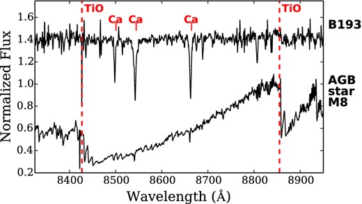 The IL CaT spectrum of the metal-rich GC B193, along with a spectrum of an M8 AGB star. The cool AGB star's spectrum is dominated by TiO bands; the two strongest bandheads at 8432 and 8860 Å are indicated with red dashed lines. The 8860 Å feature is also detectable in the B193 spectrum, which hints that the CaT features may also be affected by TiO absorption from M giants in the cluster.