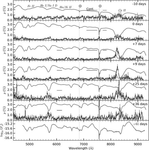 The polarization spectra of iPTF 13bvn from −10 d to +36 d relative to the r-band maximum. At each epoch, the flux spectra (log10(Fλ)) are shown by the thick grey lines and are corrected for the recessional velocity of the host galaxy (1359 km s−1, as quoted by NED). The flux spectrum from the spectroscopic observations at +61 d is also shown in the bottom panel. The horizontal bars indicate the wavelength regions used to measure the continuum polarization.