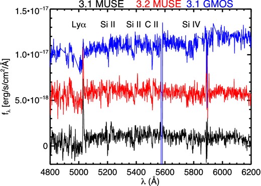 Example of extracted GMOS and MUSE spectra for system 3, confirming a redshift z = 3.128 from Lyman α in emission, spectral break, and UV absorption lines. Individual spectra are offset vertically for clarity.