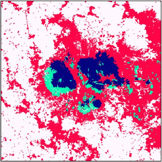 Zoom-in on the largest sunspot group on the approaching hemisphere of the Sun observed on 2011 November 10 at 00:01:30 UTC. Red pixels represent faculae, while the sunspot pixels are colour-coded according to the direction of their velocity flows, thereby revealing the presence of Evershed flows: dark blue pixels are directed towards the observer (v < 0), while light cyan pixels are directed away from the observer (v > 0).