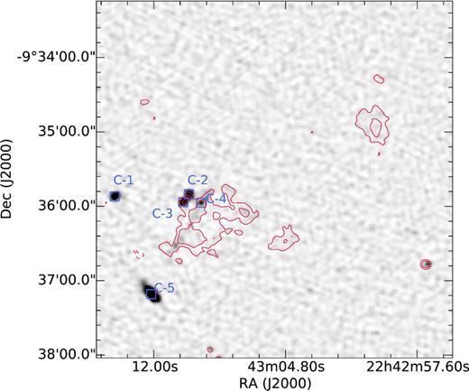 Grey-scale images show the robust 0 high-resolution GMRT data for regions C and D. Red contours show naturally weighted image. Contours are at −3, 3, 5, 10, 15, 20 × σrms where σrms = 45 μJy beam− 1. The resolution of the GMRT image is 7.44 arcsec × 6.06 arcsec. Radio point sources have been subtracted from the naturally weighted image using models extracted from the high-resolution GMRT image shown in the grey scale. The blue squares mark discrete radio sources.