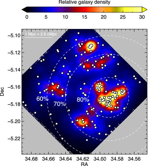 A map of Cl 0218.3−0510 with dashed circles marking where 80, 70 and 60 per cent of the galaxies are likely to become cluster members by z = 0. White circles mark galaxies, and the background colour scale indicates the relative galaxy density determined as the cumulative distance to the five nearest neighbours.