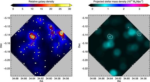 Left: the 2D distribution of the galaxy density in the control field. The white circles mark the location of the galaxies and the background colour scale indicates the relative galaxy density determined by the cumulative distance to the five nearest neighbours. Right: the projected stellar mass distribution in units of 1012 $\rm \thinspace M_{{\odot }}$ Mpc−2. The white contours mark the galaxy density as shown in the left panel. The control field is twice the volume of the protocluster.
