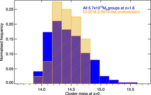 The blue histogram shows the range of z = 0 cluster masses from all 652 main haloes with M ∼ 1013.6$\rm \thinspace M_{{\odot }}$ at z = 1.61. The orange hatched histogram shows the range of present-day masses from the 40 simulated clusters with the same group distribution as in Cl 0218.3−0510.