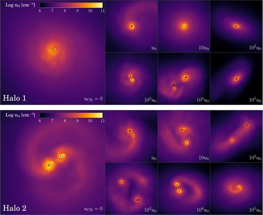 Density projection of the central 20 000 au of each simulation 5000 yr after the formation of the first sink particle. Upper panel: Halo 1; lower panel: Halo 2. Each accretion disc is shown face-on; sink particle positions are identified by black dots whose size scales logarithmically with the mass of the sink. In each panel the accretion disc formed in the absence of any CR background is shown on the left; the corresponding ${u}_{\rm \small CR}$-modified discs are shown to the right. Note the broad variation in both disc structure and spatial extent.