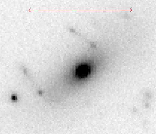 A SofI image in the Ks band of the BCG in the cluster Abell 1553. North is pointing up and east to the left, and the arrow has a length of 20 arcsec, which at the cluster redshift of z = 0.165 corresponds to a distance of 57 kpc. The extended light profile of this BCG is clearly seen in many of the BCGs in our sample. Of particular note in this BCG are the lens-like features offset from the centre of the BCG.