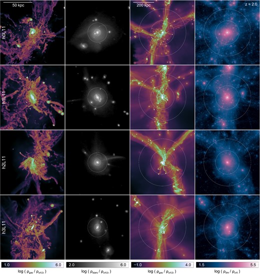 Mass-weighted projections of gas and stellar density at small scales (left two columns), and projected gas density and dark matter density at large scales (right two columns). The first four simulated haloes are shown at z = 2. All gas cells or particles within a cube of side-length 1.0 rvir (small scales) or 5.5 rvir (large scales) are included, and distributed using the standard cubic spline kernel with h = 2.5 rcell (gas) or h = r32,ngb (the radius of the sphere containing the 32 nearest neighbours of the same particle type, for stars and dm) in orthographic projection. The white circles denote {0.05,0.15} rvir (left two columns) and {1,2} rvir (right two columns). Densities are normalized to the critical (baryon) density at z = 2.