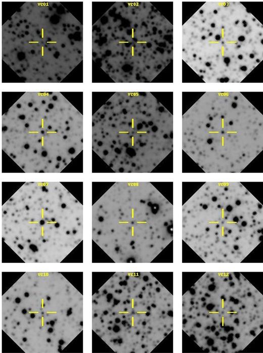 KS-band finding charts for all variable candidates. Each thumbnail is 0.5 arcmin × 0.5 arcmin. Orientation is north up, east left, for all charts.