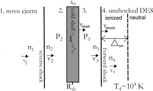 Shock interaction between the fast nova outflow (region 1) and the slower DES (region 4). A forward shock is driven into the DES, while the reverse shock is driven back into the fast ejecta. The shocked ejecta (region 2) and shocked DES (region 3) are separated by a cold central shell containing the swept-up mass. Observed radio emission originates from the forward shock, since emission from the reverse shock is absorbed by the cold central shell. The ionized layer of thickness Δion (equation 5) in front of the forward shock is also shown.