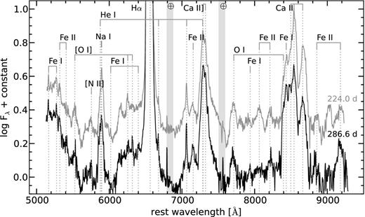 Late-time optical spectra of SN 2015bh at +224.0 (grey line) and +286.6 d (black line). The locations of the most prominent spectral features are indicated. A blueshift of 2500 km s−1 has been applied to the vertical lines that mark the rest wavelength of the oxygen.