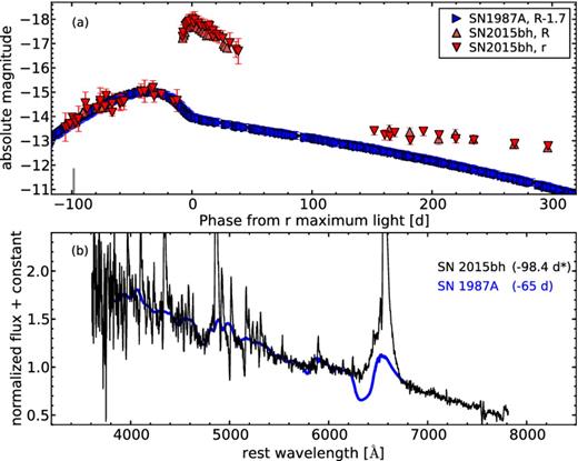 Panel (a): comparison of the absolute vegamagrR-band light curve of SN 2015bh (filled triangles), with that of SN 1987A (right rotated triangles). The SN 1987A light curve has been shifted down by 1.7 mag to match the SN 2015bh light curve at maximum of the 2015a event. The solid mark on the abscissa axis indicate the phase at which SN 2015bh spectrum of panel (b) was obtained. Panel (b): spectral comparison of SN 2015bh at −98.4 d, with that of SN 1987A at coeval epochs. To match the continuum of SN 2015bh, we added a blue blackbody contribution to the continuum of the SN 1987A spectrum. Both spectra have been corrected for their host-galaxy recession velocities, and normalized to the SN 2015bh spectrum continuum. * Note that the SN 2015bh spectrum is dated at −98.4 d from the r-band 2015b maximum, and at −64.5 d from the r-band 2015a maximum. A colour version of this figure can be found in the online journal.