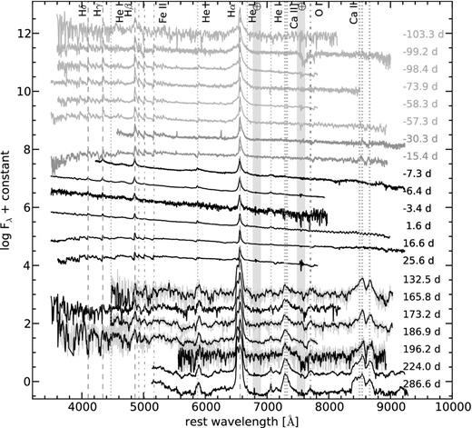 Sequence of optical spectra of SN 2015bh taken from 2015 February 09.97 UTC to 2016 March 05.89 ut. Shades of grey are used for spectra obtained during the 2015a event, spectra taken during and after the 2015b event are in black. The late spectra at 132.5, 173.2, 186.9, and 196.2 d are shown in grey, with a boxcar-smoothed (using a 8 pixel window) version of the spectra overplotted in black. The locations of the most prominent spectral features are indicated by vertical lines.